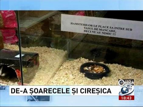 Deziluzia Optică: De-a şoarecele şi cireşica