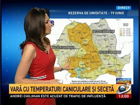 Prognoza pe următoarele 3 luni