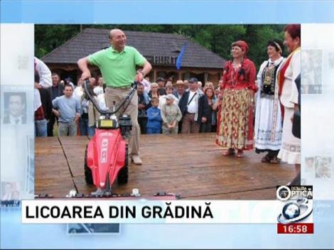 Deziluzia optică: Licoarea din grădină