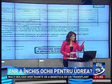 Exces de putere: BNR a închis ochii pentru Udrea?