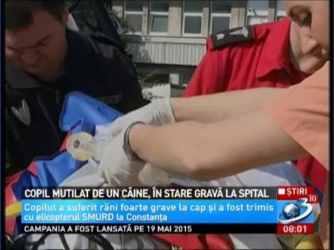 Copil mutilat de un c&acirc;ine, &icirc;n stare gravă la spital