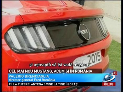 Cel mai nou Mustang, acum şi în România