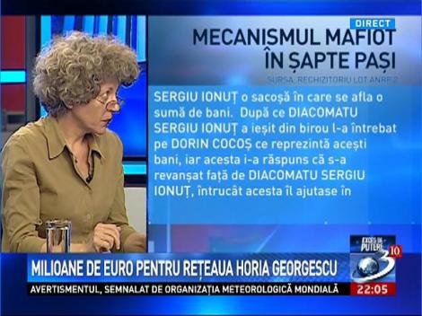 Miliane de euro pentru reţeaua Horia Georgescu