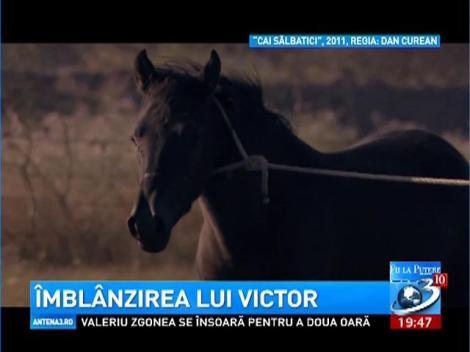 Dincolo de ştiri: &Icirc;mbl&acirc;nzirea lui Victor