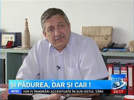 Dincolo de ştiri: Caii trebuie şi ei protejaţi