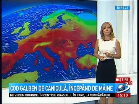 Cod galben de caniculă &icirc;ncep&acirc;nd de m&acirc;ine