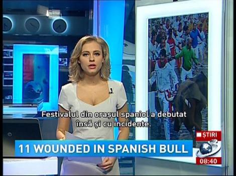 11 wounded in Spanish bull
