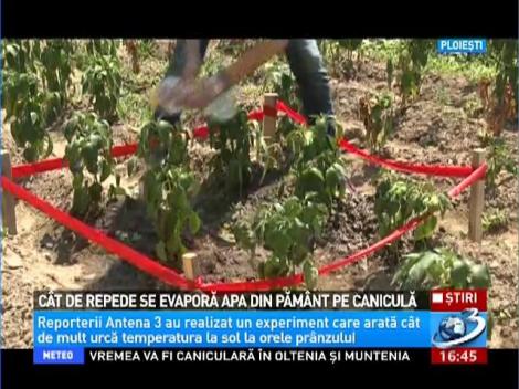Experiment. C&acirc;t de repede se evaporă apa din p&acirc;m&acirc;nt pe caniculă