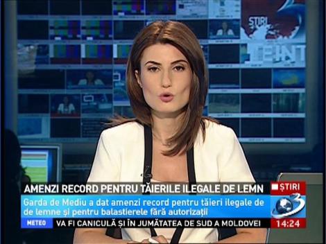 Amenzi record pentru tăierile ilegale de lemn