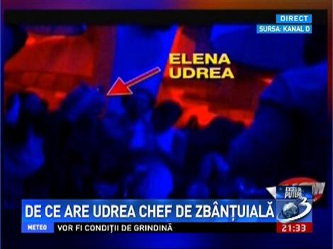 Exces de Putere: De ce are Udrea chef de zb&acirc;nţuială