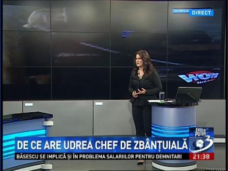 Dan Constantin: Grupul ăsta infracţional arată cum s-au făcut afacerile în România