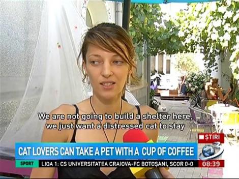 Cat lovers can take a pet with a cup of coffee