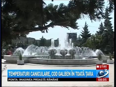 Temperaturi caniculare, cod galben în toata tara