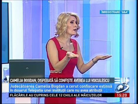 Camelia Bogdan, disperată să confişte averea lui Voiculescu