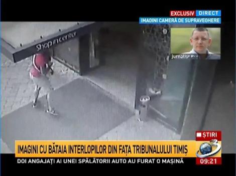 Imagini cu bătaia interlopilor din faţa Tribunalului Timiş