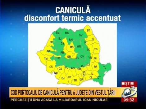 Cod portocaliu de caniculă pentru 6 judeţe din vestul ţării.