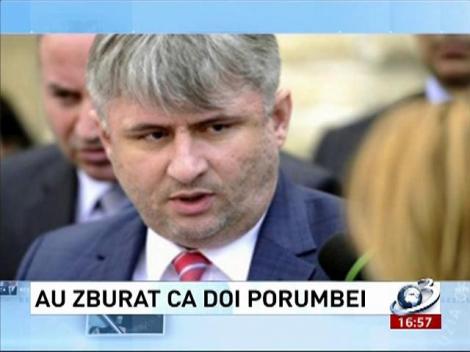 Deziluzia optică: Au zburat ca doi porumbei