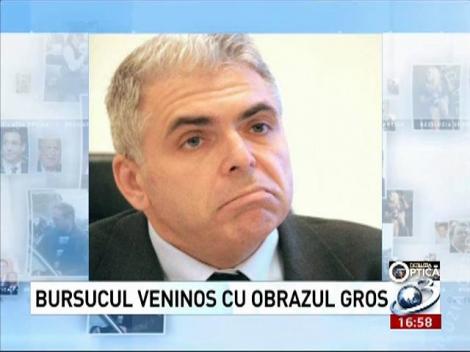 Deziluzia optică: Bursucul veninos cu obrazul gros