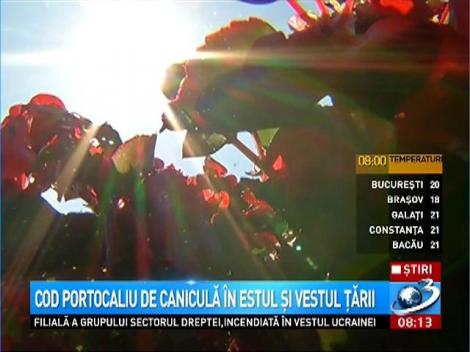 Avertizare ANM: Cod portocaliu de caniculă şi disconfort termic &icirc;n vestul şi estul ţării