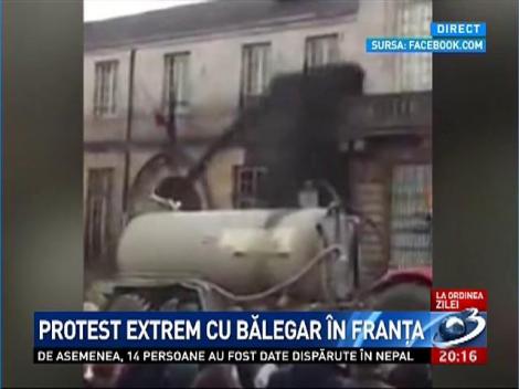 Protest extrem cu bălegar