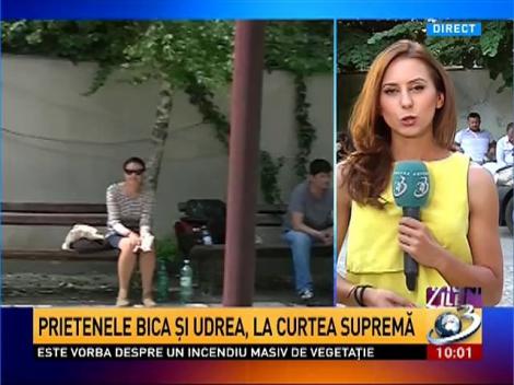 Elena Udrea şi Dorin Cocoş, &icirc;nt&acirc;lnire &icirc;n instanţă