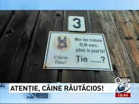 Deziluzia optică: Atenţie, c&acirc;ine răutăcios!