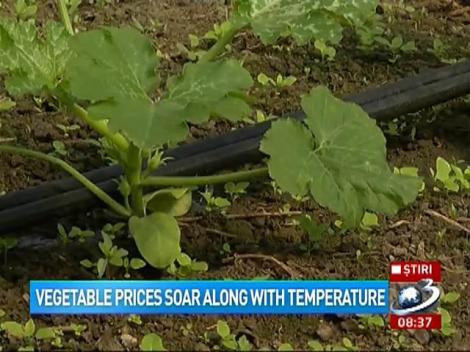 Vegetable prices soar along with temperatures