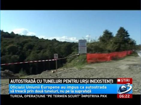 Urşii, liliecii şi castorii, de vină pentru autostrăzile neterminate. Ce decizie a luat CNADNR