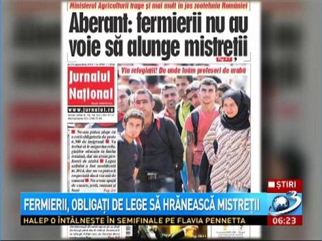 Fermierii, obligaţi de lege să hrănească mistreţii