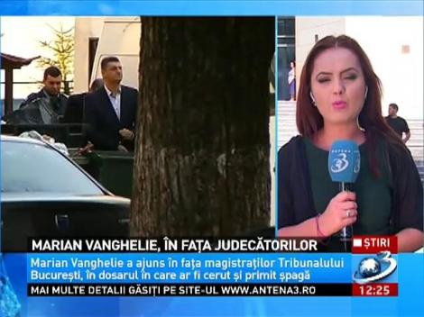 Marian Vanghelie, &icirc;n faţa judecătorilor