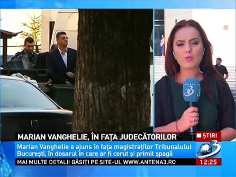 Marian Vanghelie, în faţa judecătorilor