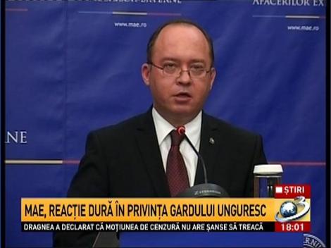 MAE, reacţie dură &icirc;n privinţa gardului unguresc