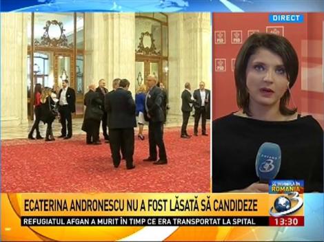 Andronescu ar fi depus candidatura după expirarea termenului