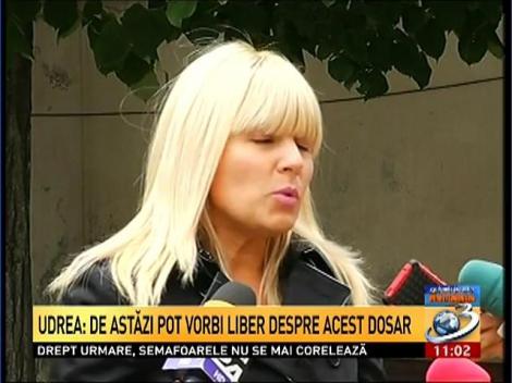 Elena Udrea, la Instanţa Supremă: O să mă apăr cu toate armele