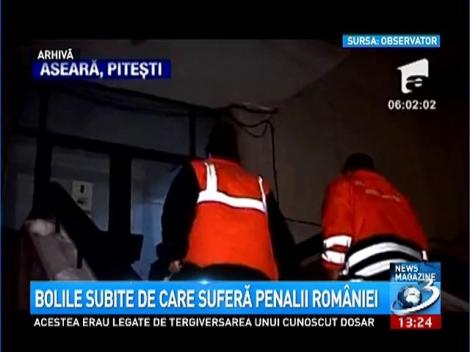 Bolile subite de care suferă penalii Rom&acirc;niei