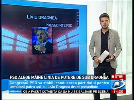 PSD îşi alege linia de putere de sub Liviu Dragnea