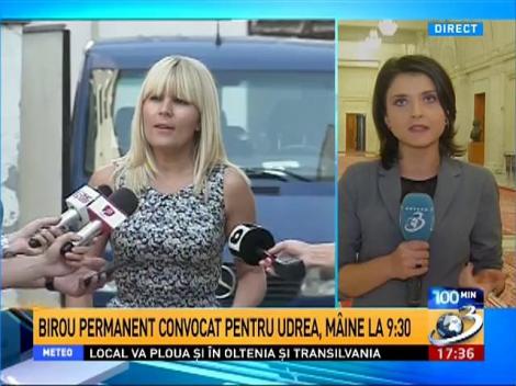 Birou permanent convocat pentru Udrea, m&acirc;ine la 9:30