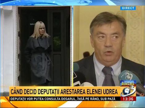 Vineri se decide soarta Elenei Udrea