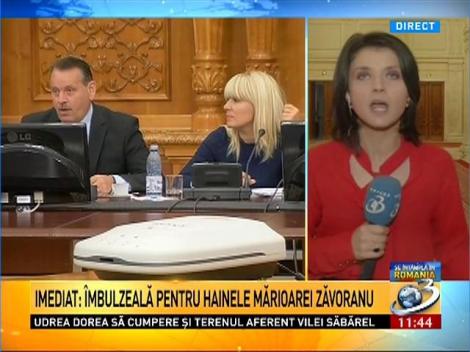 Dosarul Elenei Udrea va fi sigilat şi consultat sub pază