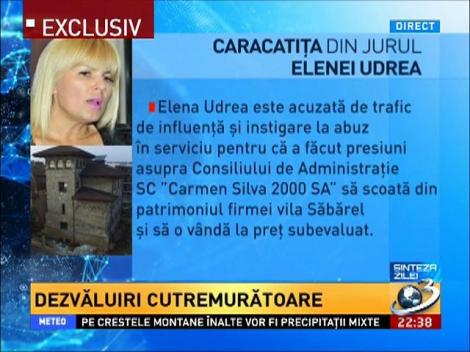 Sinteza zilei: Caracatiţa din jurul Elenei Udrea