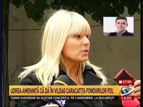 Elena Udrea ameninţă că dă în vileag caracatiţa fondurilor PDL