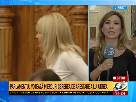Parlamentarii votează miercuri cererile DNA &icirc;n cazul Elenei Udrea