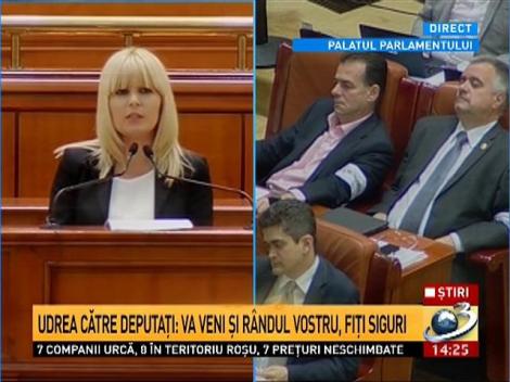 Ce le spune Udrea deputaţilor ca să nu fie arestată