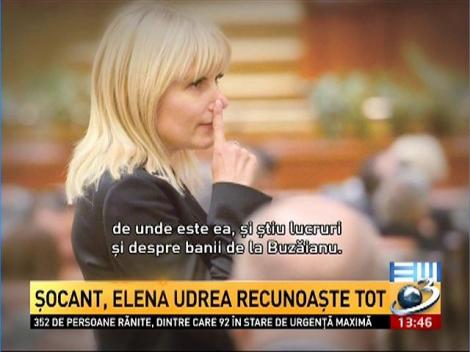 Elena Udrea recunoaşte tot