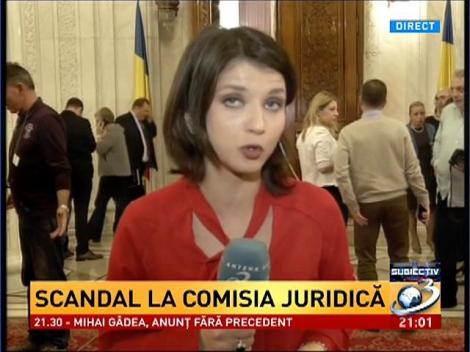 Scandal la Comisia Juridică în timpul audierii în comisii a Cristinei Guseth