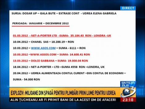 Bombă: Milioanele transferate de Dorin Cocoş pentru Elena Udrea în conturi secrete