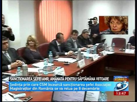 Sancţionarea şefei AMR, amânată pentru săptămâna viitoare