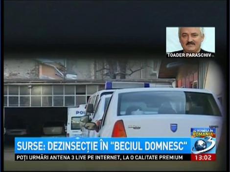 Dezinsecţie în Beciul Domnesc"