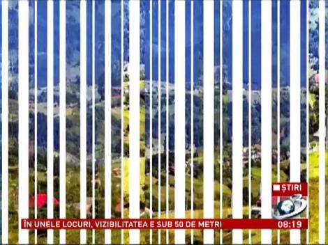 Campania "Produs în ţara ta" susţine produsele româneşti