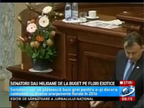 Senatorii dau milioane de la buget pentru flori exotice